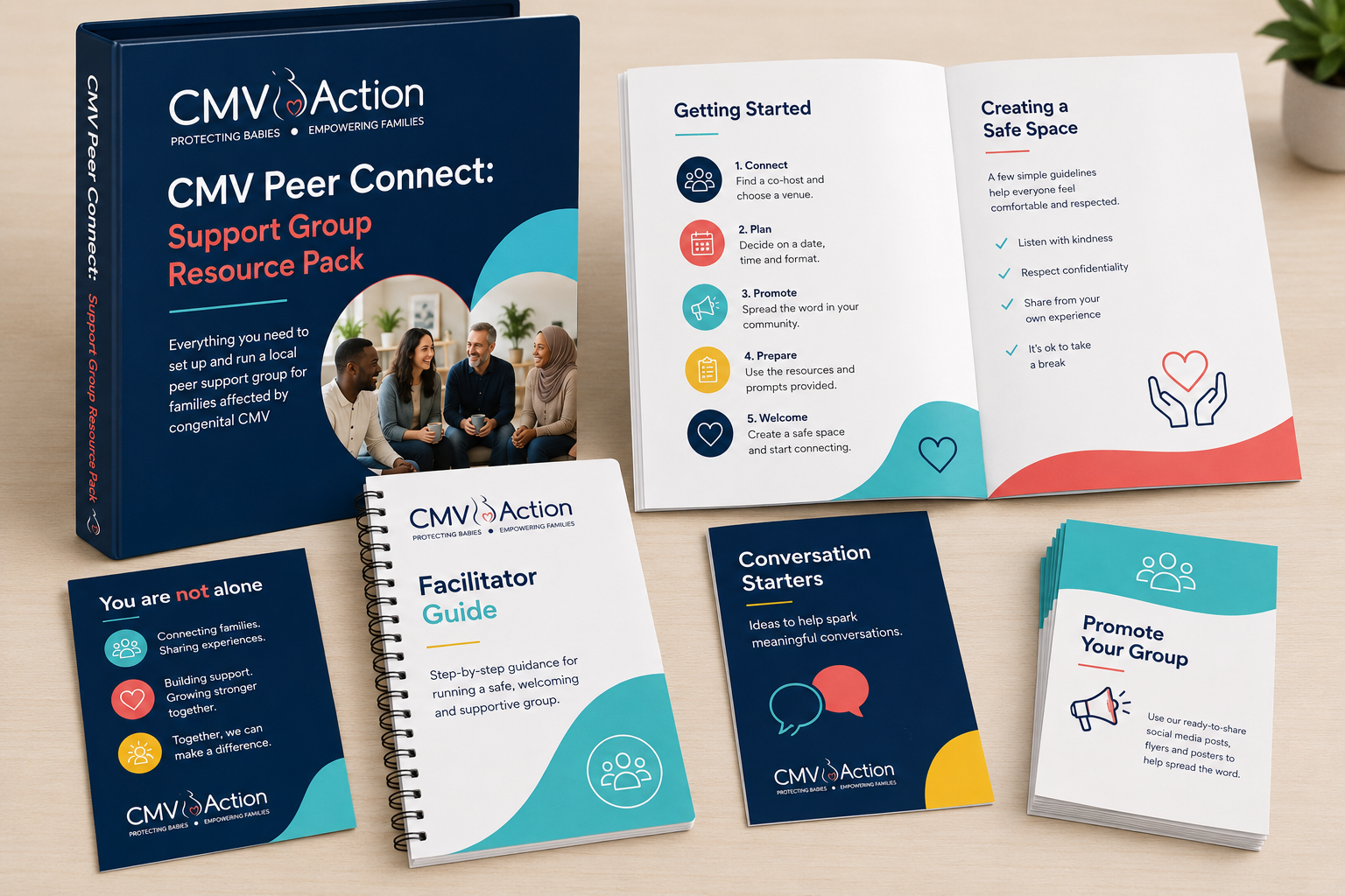 The Big Give 2026 - CMV Action